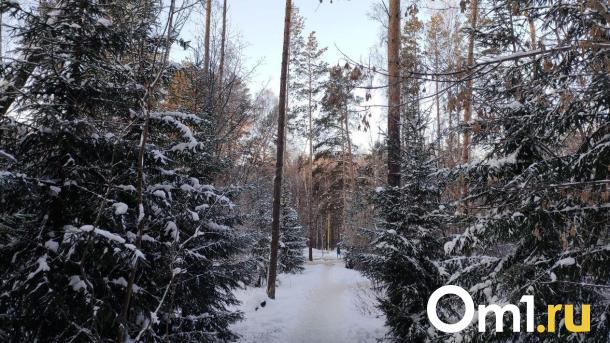 Под Омском продают избу в лесу за 13 миллионов