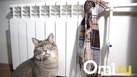 После жалоб омичей на слишком дорогую «коммуналку» чиновники объяснили, как теперь рассчитывается тариф