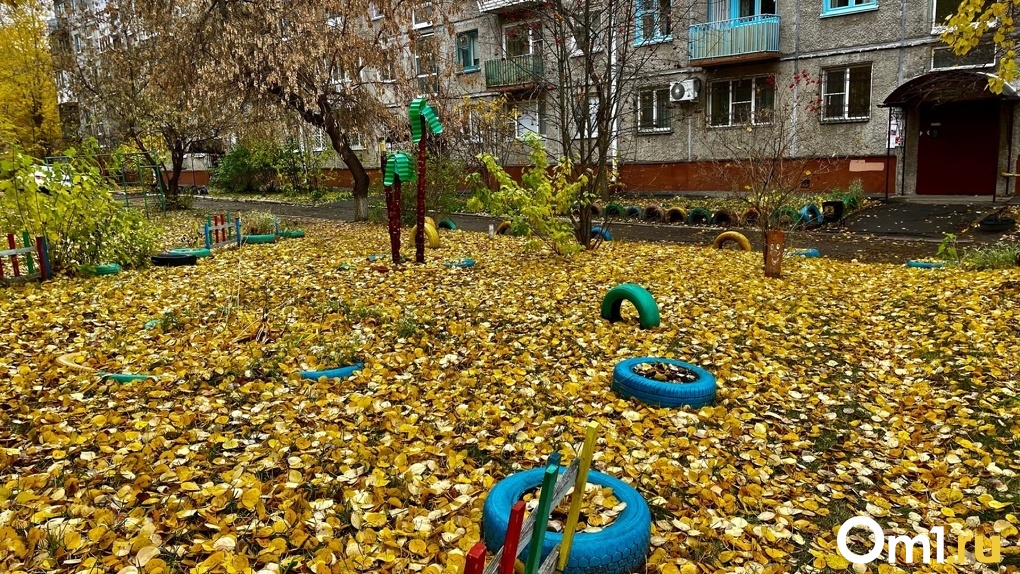 Омская область в начале ноября попадёт в зону тёплого циклона из Казахстана