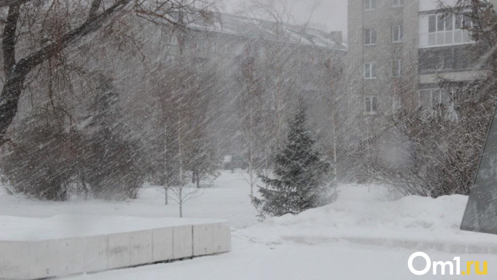 Омскую область накроет снегом из-за североатлантического циклона