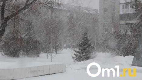 Омскую область накроет снегом из-за североатлантического циклона