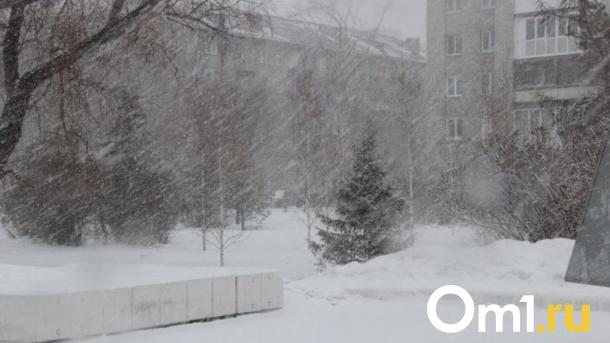 Омскую область накроет снегом из-за североатлантического циклона