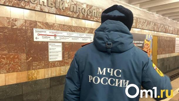 Мощный пожар произошёл в частном доме в Омской области