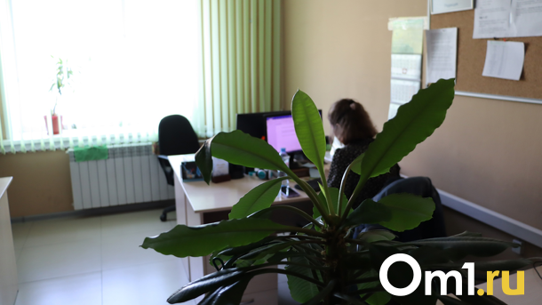 Работодатели в Новосибирске сокращают рабочий день из-за аномальной жары