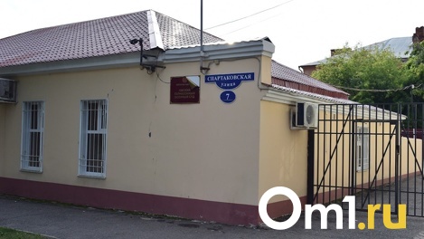 В Омске при благоустройстве повредили аллею тополей, которую защищали экологи