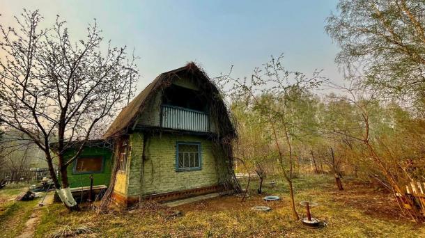 «Кричите сколько хотите»: уролог заявил, что переезд в частный дом помогает забеременеть