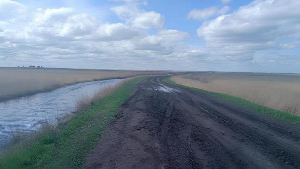 Трое человек погибли в ДТП в Новосибирской области: машина перевернулась в кювет