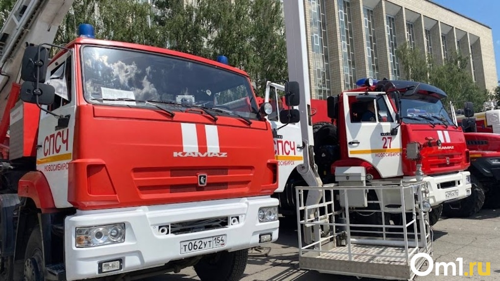 Двое детей погибли в страшном пожаре в Новосибирске