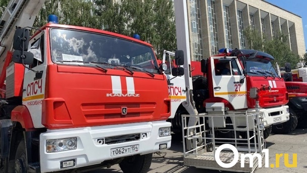 Двое детей погибли в страшном пожаре в Новосибирске