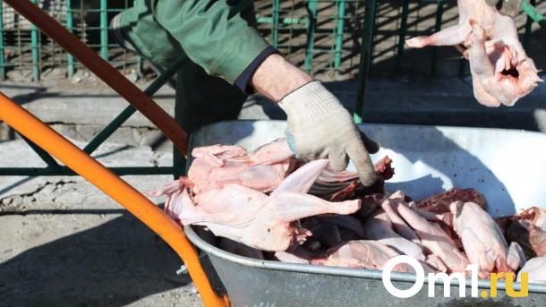 Антисанитария и отрава: нарушения в омских магазинах «Светофор»