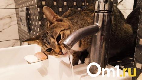 Омичи в двух округах Омска останутся без воды на неделе