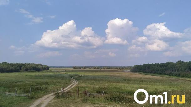 В Омской области заметили детёнышей редких степных животных