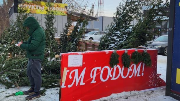 Праздник не приходит: в Новосибирске закрыли очередной нелегальный ёлочный базар