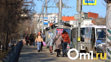 В одной из популярных маршруток в Омске проезд повысили до 40 рублей