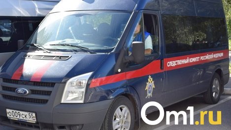 Председателя СНТ «Автомобилист» обнаружили мёртвым под Новосибирском