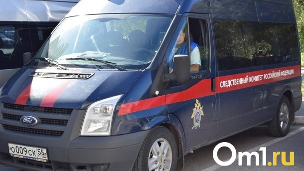 Председателя СНТ «Автомобилист» обнаружили мёртвым под Новосибирском