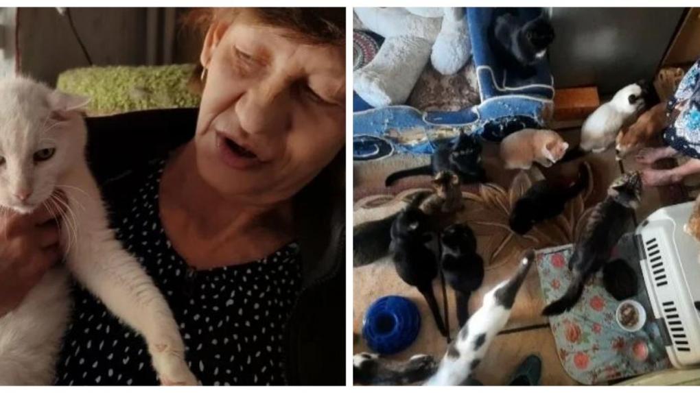 Сибирячка рассказала, зачем содержит в маленькой квартире две сотни кошек