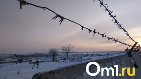 Омский педофил, который снимал детское порно с мальчиками, раньше работал учителем истории