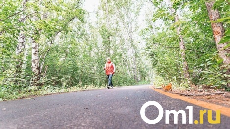 Омичам рассказали, куда обратиться, чтобы начать заниматься оздоровительной гимнастикой уже завтра