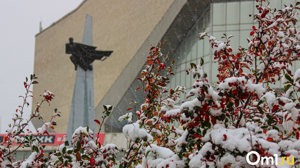 Переходим на зимнее: Омскую область уже в эти выходные завалит снегом