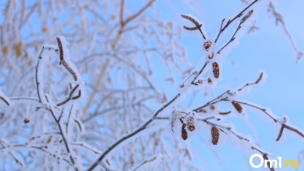 Похолодание до -25 градусов ожидается в Новосибирске в конце недели