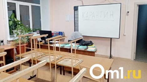 Перед Новым годом число классов в омских школах, ушедших на карантин, сократилось в разы