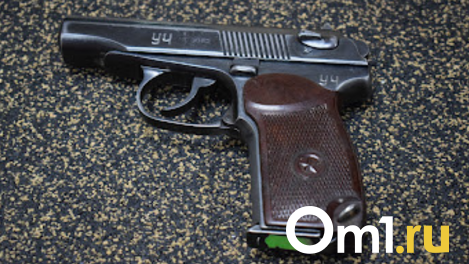 Грозит ампутация ноги: в Новосибирске девушка попала в реанимацию после выстрела из пистолета