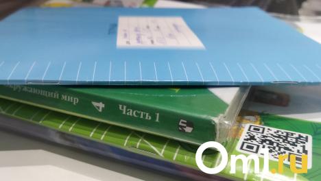 В Минобре рассказали, какими будут уроки труда у омских школьников