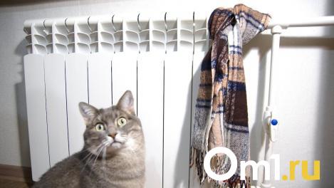 В посёлке Привокзальный в Омске отключат от отопления часть домов