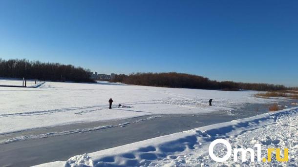 В омском Иртыше обнаружили высокую концентрацию ртути