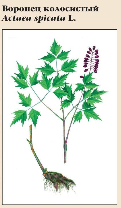 Изображение фоторепортажа