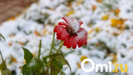 В Омской области похолодает до -15 градусов