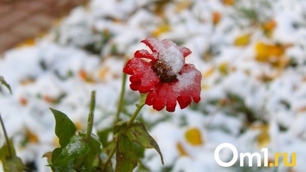 В Омской области похолодает до -15 градусов