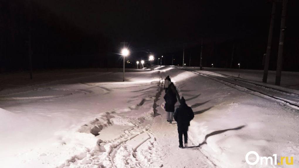 Люди бредут по полям: снег отрезал омский микрорайон от «большой земли»