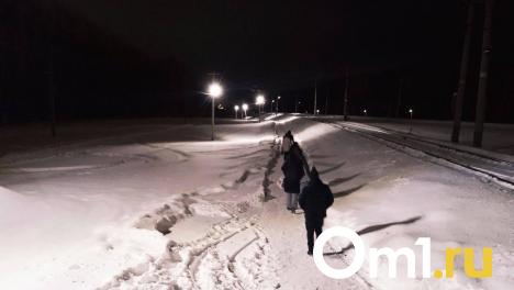 Люди бредут по полям: снег отрезал омский микрорайон от «большой земли»