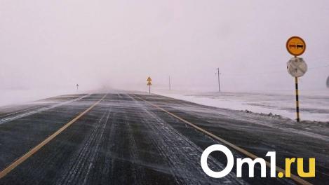Омский пенсионер пытался спилить дорожный знак, чтобы сделать ремонт дома