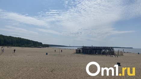 В Новосибирске после 15 июня откроют два пляжа