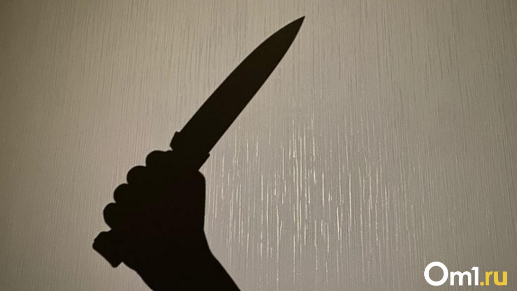 Ударил ножом и скрылся: омича подозревают в убийстве женщины