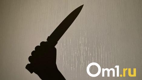 Ударил ножом и скрылся: омича подозревают в убийстве женщины