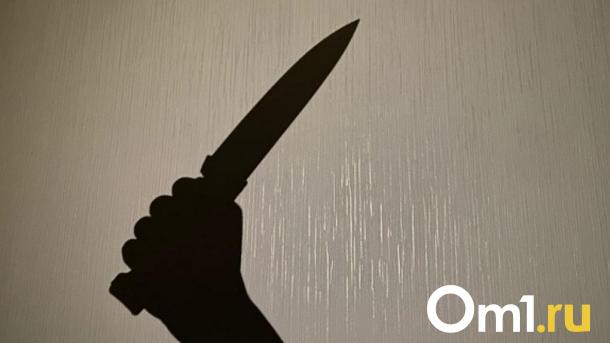 Ударил ножом и скрылся: омича подозревают в убийстве женщины