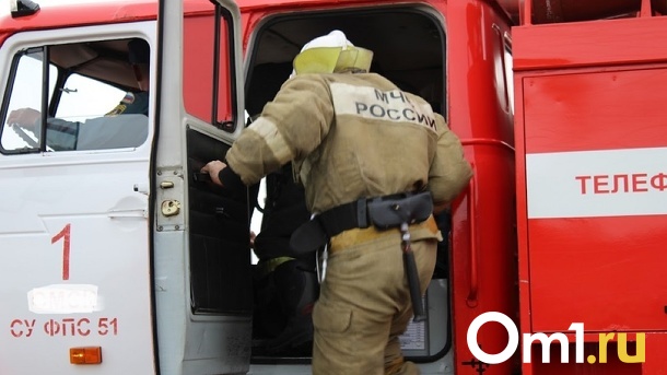 Более 870 пожаров ликвидировали за неделю в Новосибирской области