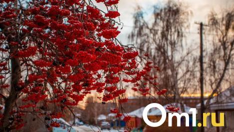 К выходным погода в Омской области сделает мощный поворот