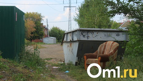 Омичи разгромили 900 мусорных контейнеров