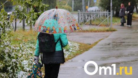 Дожди и снега: омичей ждёт мощное похолодание на следующей неделе