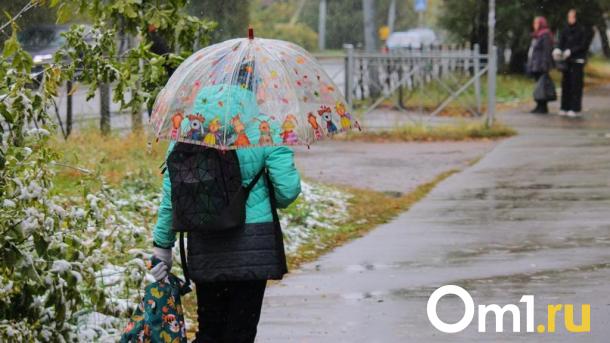 Дожди и снега: омичей ждёт мощное похолодание на следующей неделе