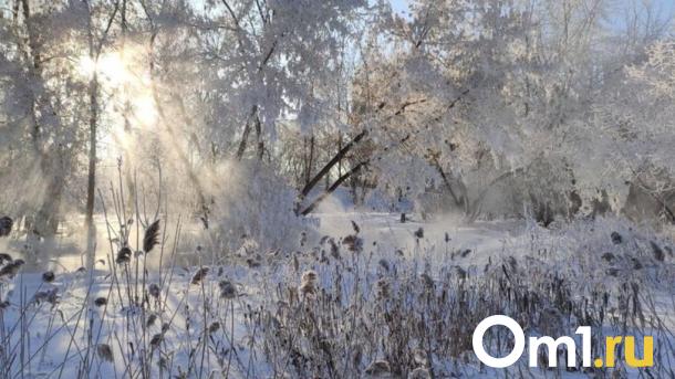 В ночь на Крещение в Омске резко похолодало