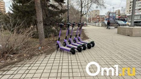 Омич нашёл электросамокат в озере в «Птичьей гавани»