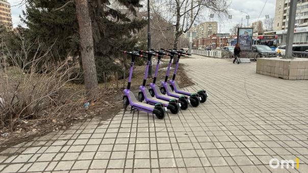 Омич нашёл электросамокат в озере в «Птичьей гавани»