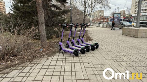 Омич нашёл электросамокат в озере в «Птичьей гавани»