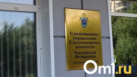 Спектакль окончен: возле омского театра кукол нашли тело неизвестного мужчины
